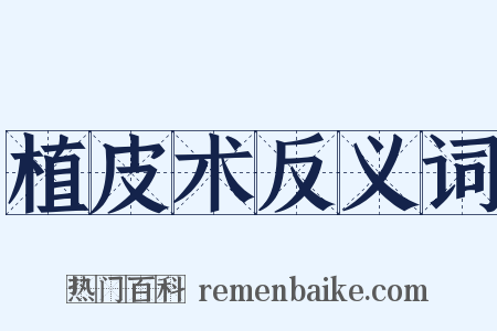 植皮术反义词是什么意思的图片